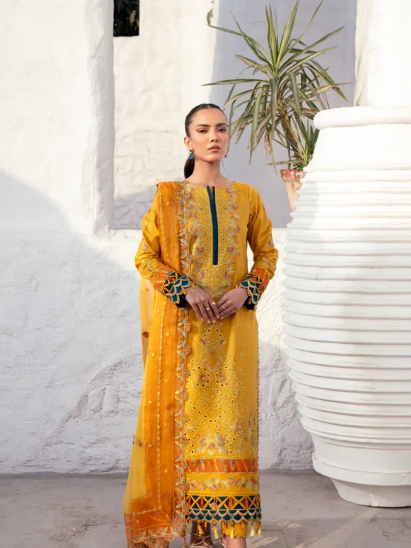 ZA-08 | Anaya Lawn