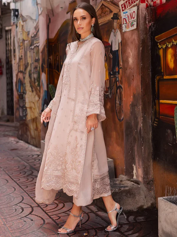 3 Piece Embroirdered Chiffon Adele - FW50070