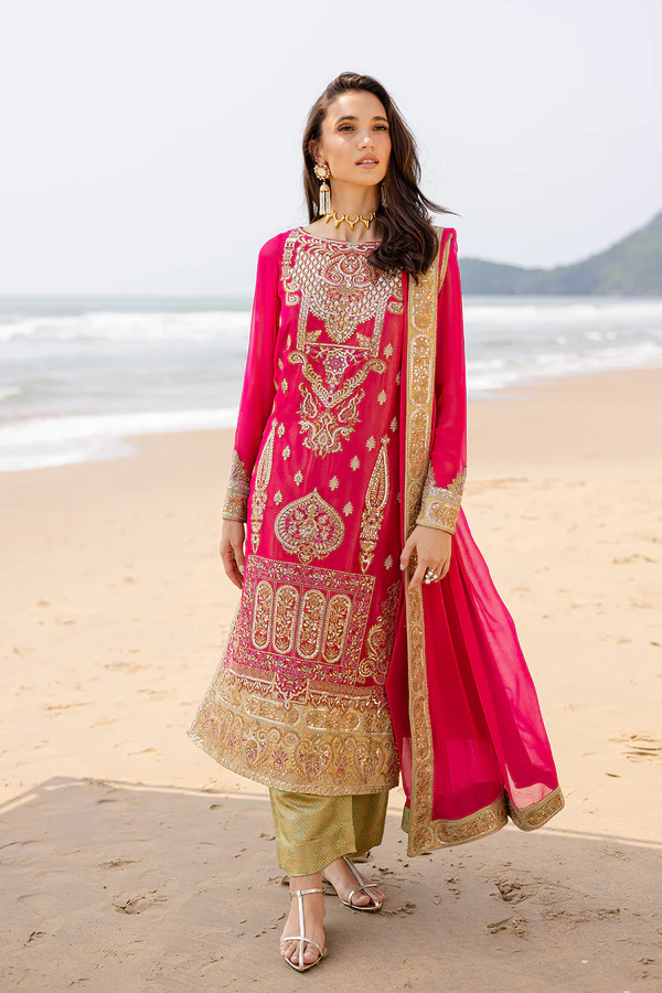 3 Piece Embroirdered Chiffon Anika - FW40054