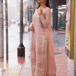 3 Piece Embroirdered Chiffon Carina - FW50061