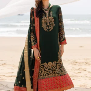 3 Piece Embroirdered Chiffon Aarna - FW40058