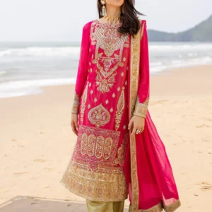 3 Piece Embroirdered Chiffon Anika - FW40054