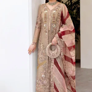 Ramsha Wedding Collection Vol 05 – H-508 Beige & Maroon Net Embroidered Luxury Formal Suit