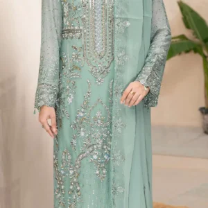 Ramsha WC-540 – Mint Green Embroidered Chiffon Suit