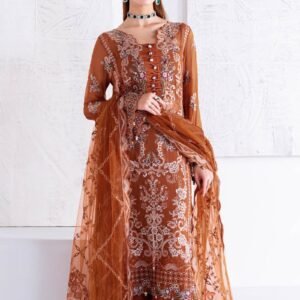 Embroidered Luxury Net Ensemble - Rust Elegance
