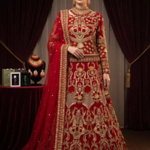Front view of Noor-e-Lal Red Net Bridal Lehenga by AL Hassan Lehnga House with jewelry material work